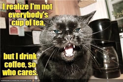 coffee>tea - I Can Has Cheezburger?