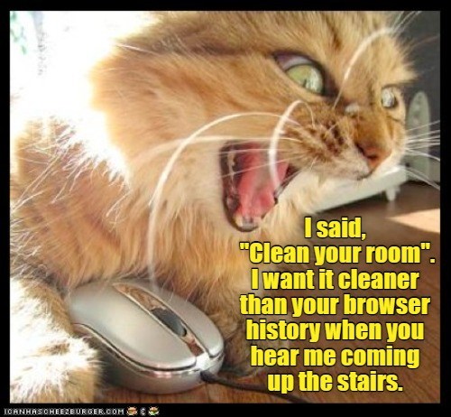 cleaning - Meme by katester :) Memedroid