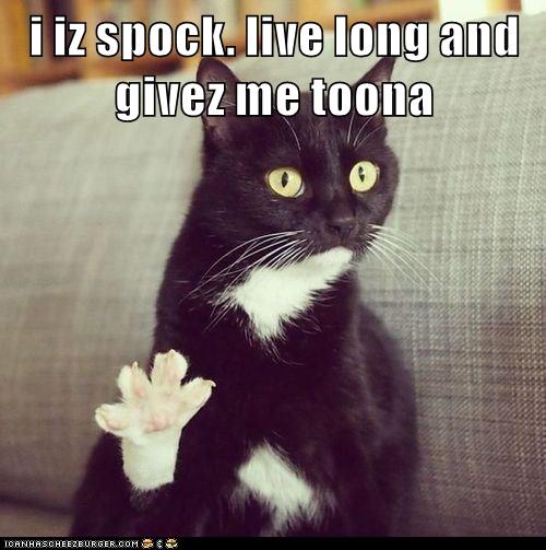 I iz spock - Lolcats - lol | cat memes | funny cats | funny cat ...