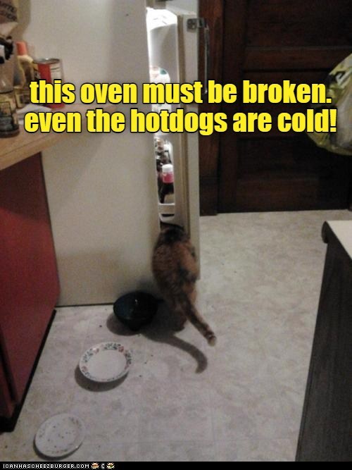 This oven must be broken - Lolcats - lol | cat memes | funny cats ...