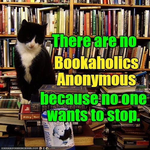 Just One More Chapter - Lolcats - Lol 