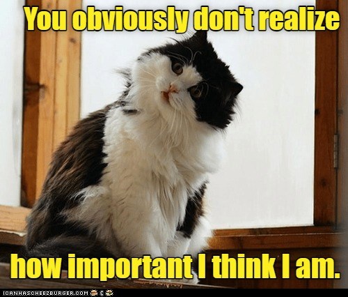 It Is Quite Obvious. - Lolcats - Lol 