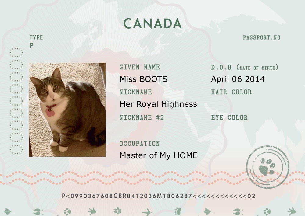 most-loveable-pet-passports-cats-dogs-passport-passports