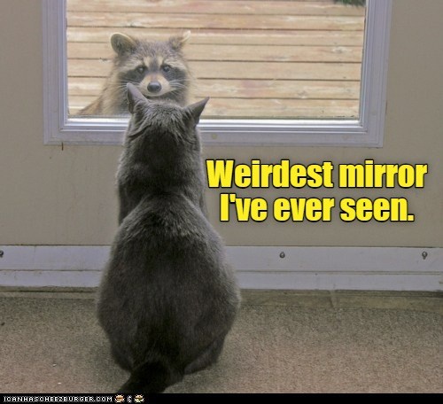 You Can See Your Inner Beast. - Lolcats - Lol 