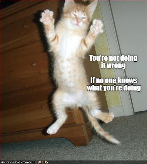 What Are You Doing? - Lolcats - lol | cat memes | funny cats | funny ...