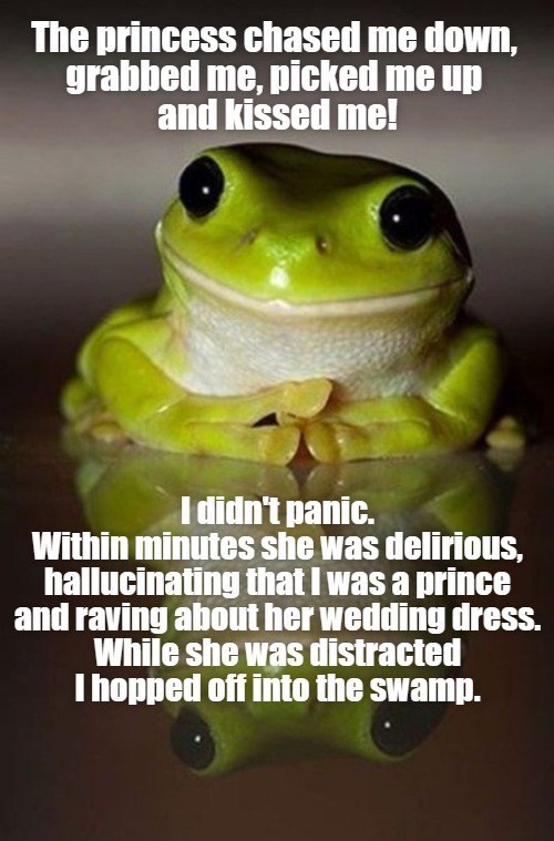 Every Princess Has A Frog - I Can Has Cheezburger?