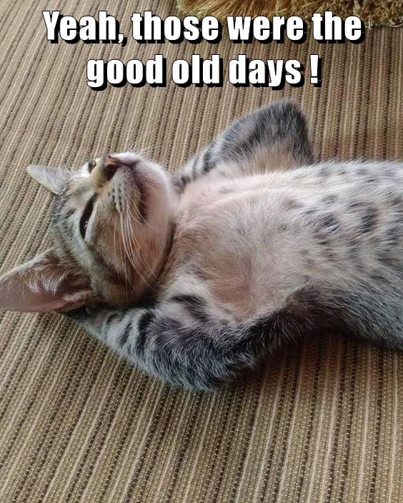 Yeah, those were the good old days ! - Lolcats - lol | cat memes ...