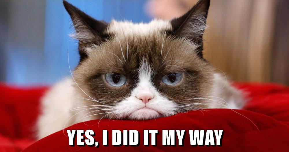 YES, I DID IT MY WAY - Lolcats - lol | cat memes | funny cats | funny ...