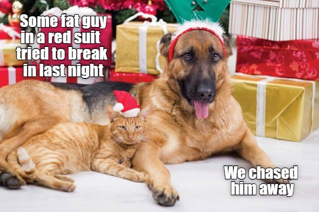 And We Might Have Bitten Him Once Or Twice - Lolcats - lol | cat memes ...