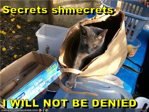 I WILL NOT BE DENIED - Lolcats - lol | cat memes | funny cats | funny ...