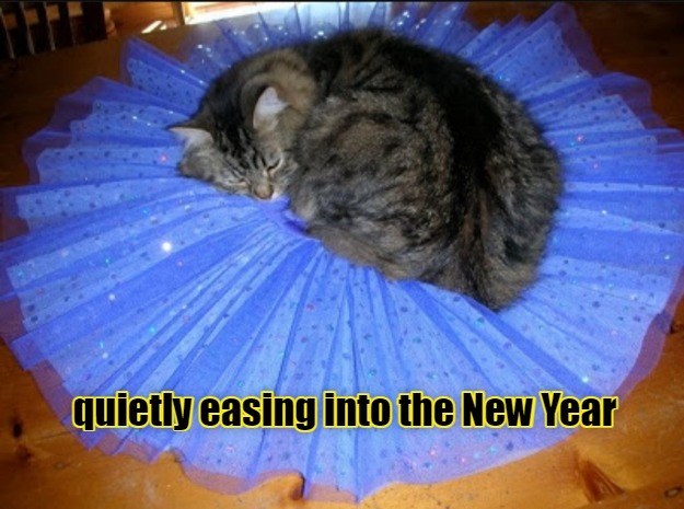 Happy New Year! - Lolcats - lol | cat memes | funny cats | funny cat ...