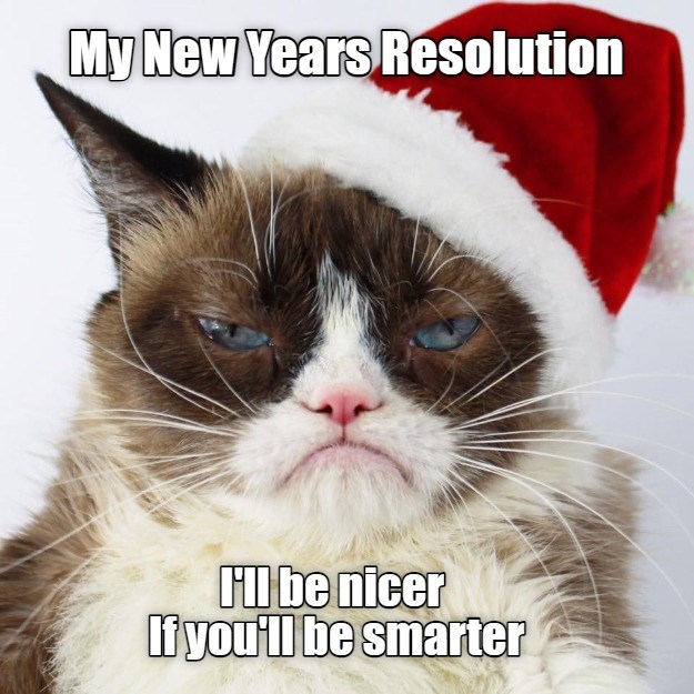 Is That Really A Resolution? - Lolcats - lol | cat memes | funny cats ...