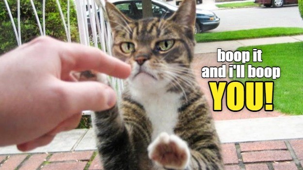 Boop it and i'll boop YOU! - Lolcats - lol | cat memes | funny cats ...