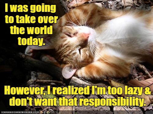 Leave the conquering to others. - Lolcats - lol | cat memes | funny ...