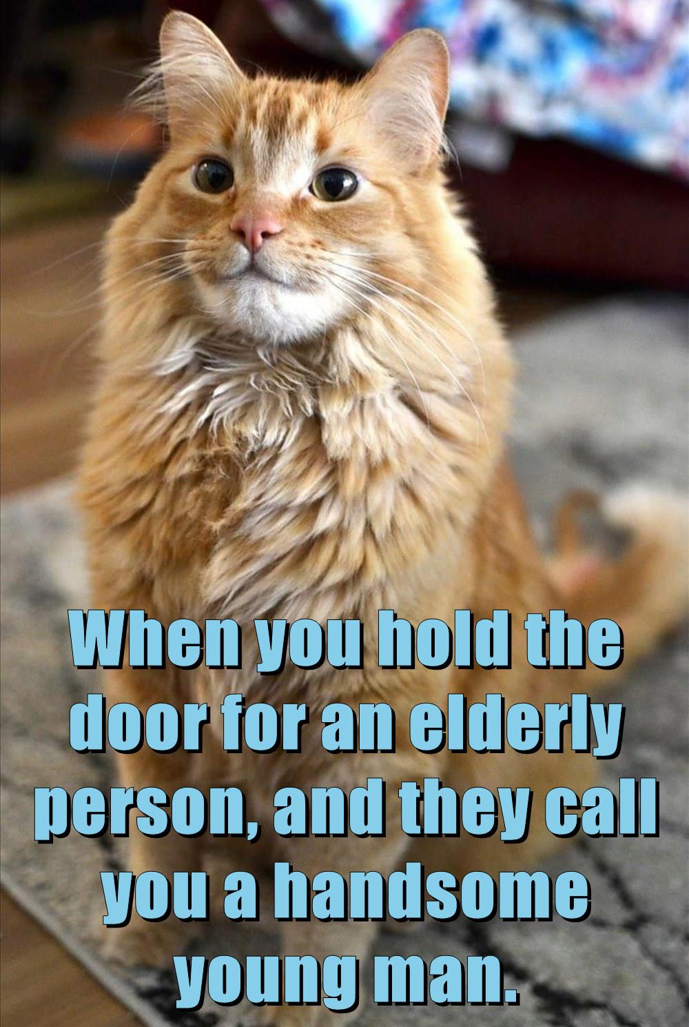 Well, THANK YOU - Lolcats - lol | cat memes | funny cats | funny cat ...