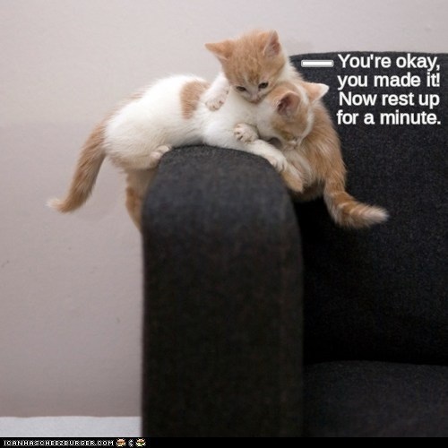 I've Got You - Lolcats - Lol 