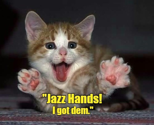 Jazz Hands! - Lolcats - lol | cat memes | funny cats | funny cat ...