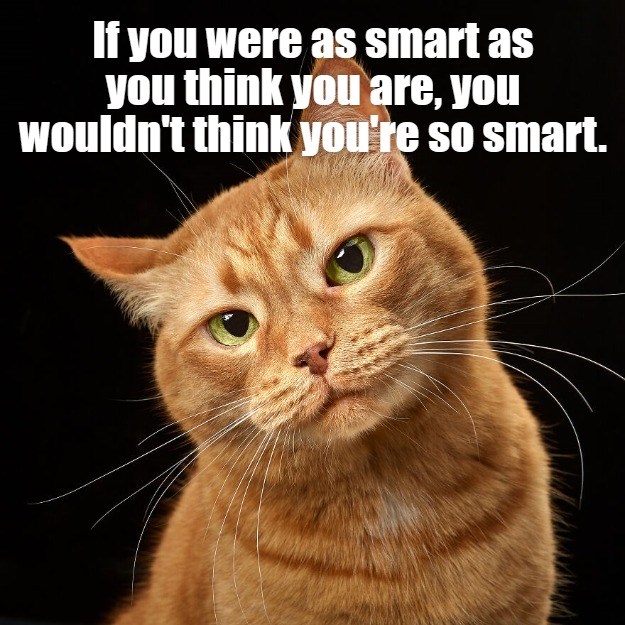 Wouldn't I? - Lolcats - lol | cat memes | funny cats | funny cat ...