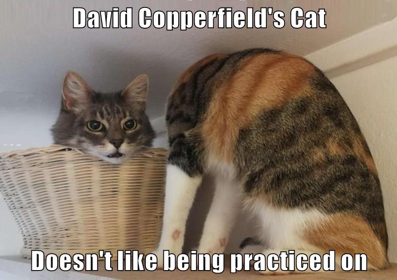 David Copperfield's Cat - Lolcats - Lol 