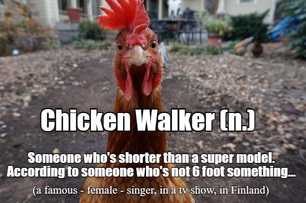 Chicken Walker (n.) - Animal Comedy - Animal Comedy, funny animals ...