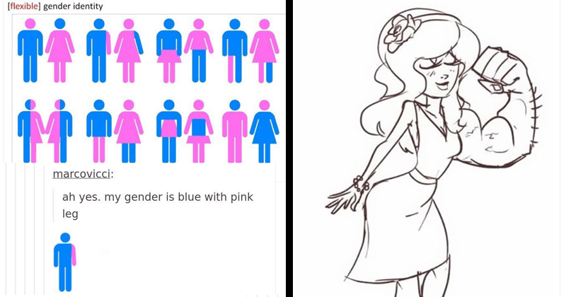 Illustrators On Tumblr Have Fun With Bizarre Gender Identity Chart Memebase Funny Memes