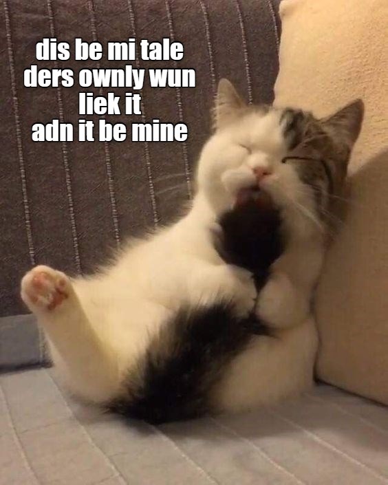 mi ownly wun - Lolcats - lol | cat memes | funny cats | funny cat ...