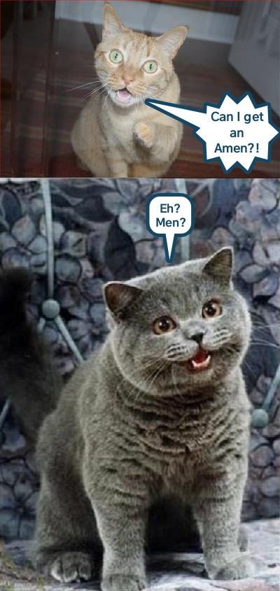 Preacher Cat Vs Canuck Cat - Lolcats - Lol 