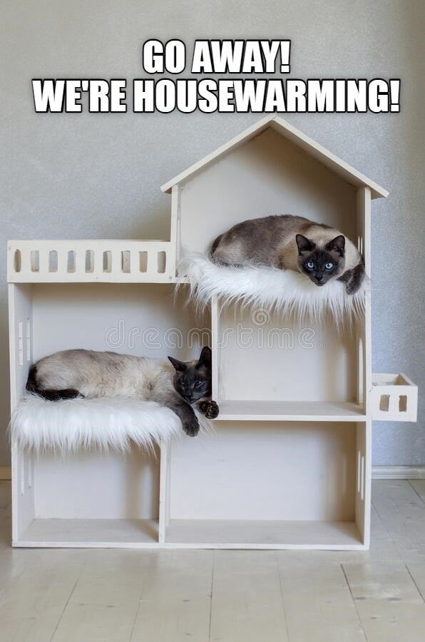 Housewarming Lolcats lol cat memes funny cats funny cat pictures with words on them