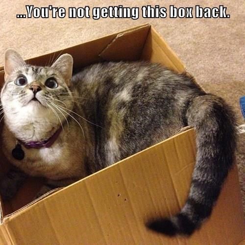 My Box Forever - I Can Has Cheezburger?