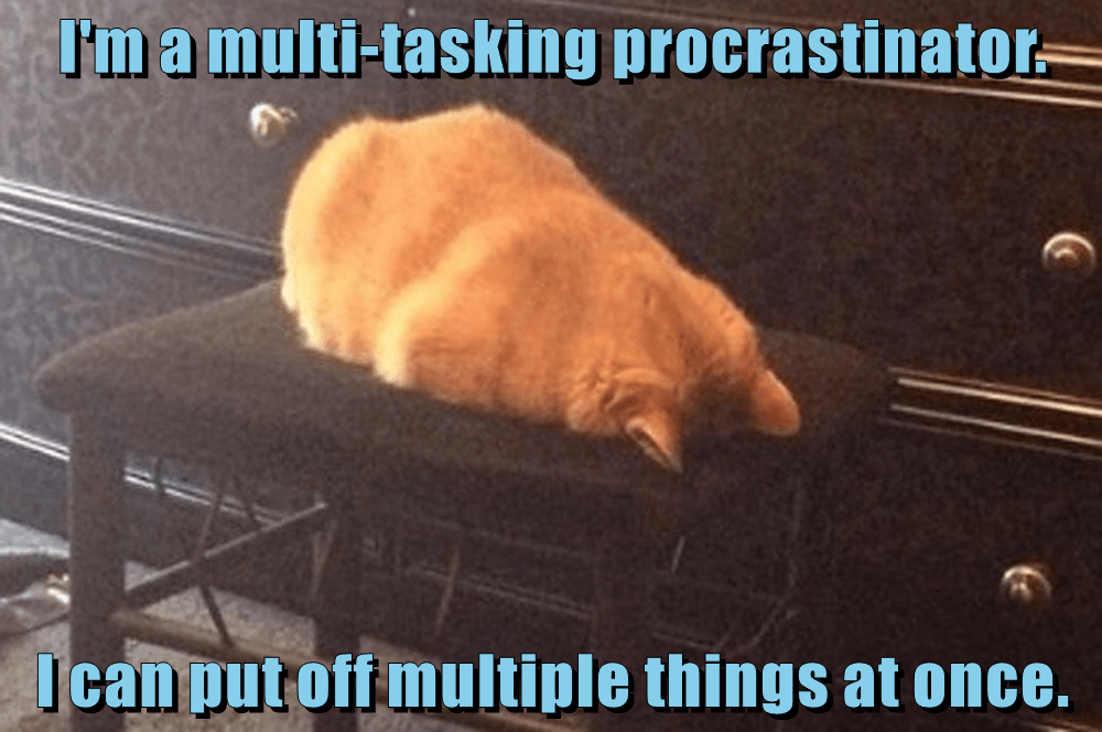 A multi-tasking procrastinator - Lolcats - lol | cat memes | funny cats ...