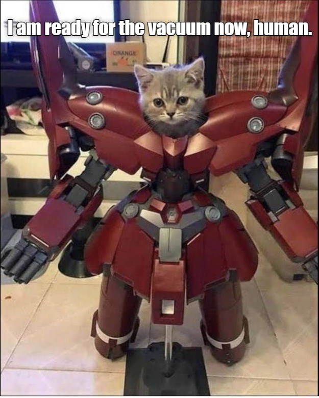 I am ready for the vacuum now, human. Lolcats lol cat memes funny cats funny cat