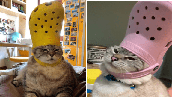 crocs hats