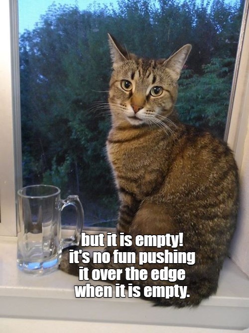 No fun at all - Lolcats - lol | cat memes | funny cats | funny cat ...