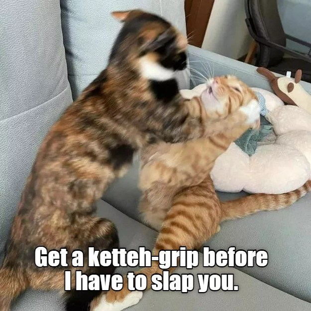 Get a grip Lolcats lol cat memes funny cats funny cat