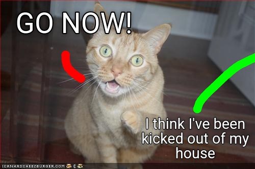 My House - Lolcats - lol | cat memes | funny cats | funny cat pictures ...