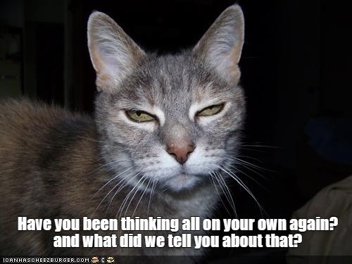 Not on your own... - Lolcats - lol | cat memes | funny cats | funny cat ...