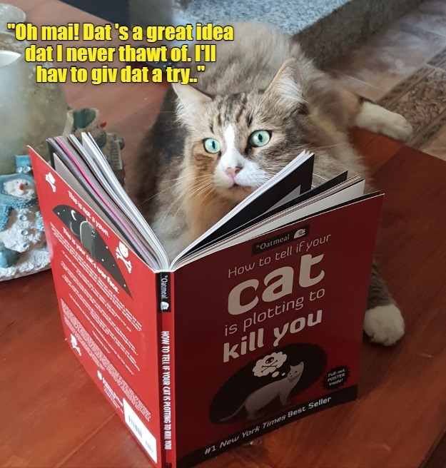 A very helpful book! - Lolcats - lol | cat memes | funny cats | funny ...