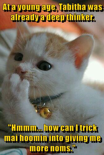 A deep thinker - Lolcats - lol | cat memes | funny cats | funny cat ...