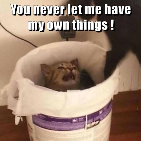 You never let me have my own things ! - Lolcats - lol | cat memes ...