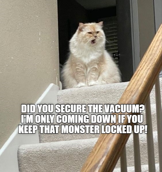 DID YOU SECURE THE VACUUM? Lolcats lol cat memes funny cats