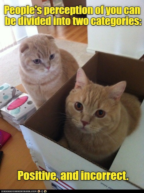 They're thinking outside the box, because I'm in it. - Lolcats - lol ...