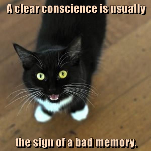 The sign of a bad memory. Lolcats lol cat memes funny cats funny cat pictures with