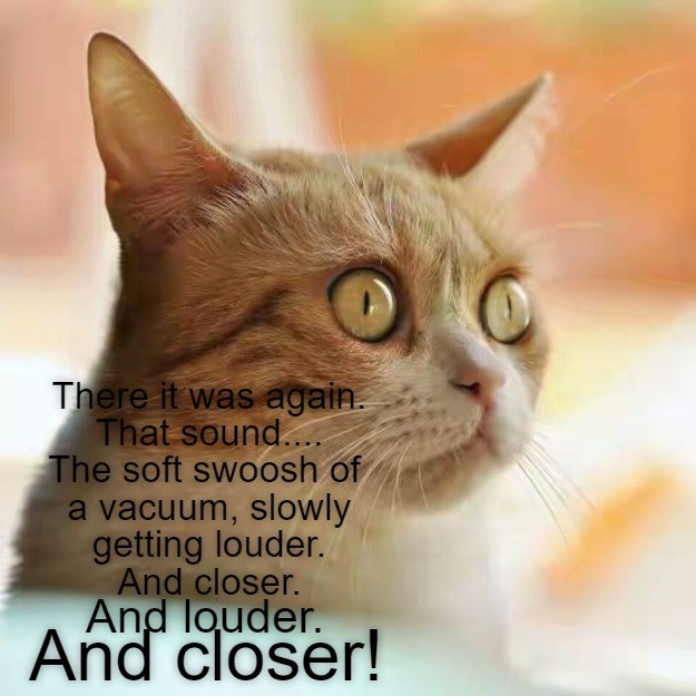As vacuums tend to do Lolcats lol cat memes funny cats funny cat pictures with words