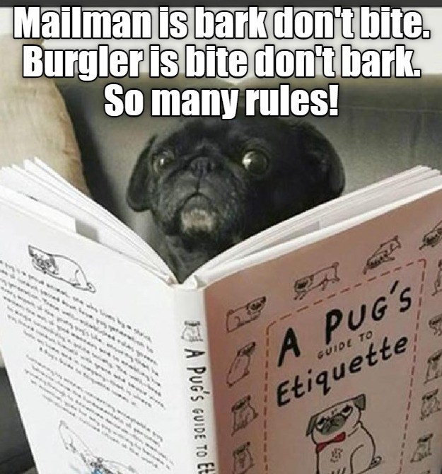 To Be A Proper Pug I Has A Hotdog Dog Pictures Funny pictures of dogs Dog Memes Puppy
