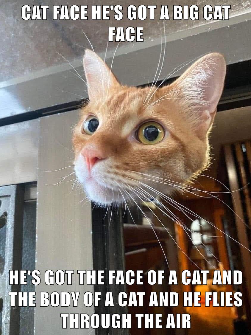 Cat Face Meme