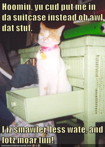 Case Closed - Lolcats - Lol 