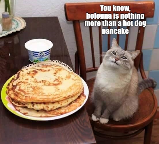 And While We're On The Subject Of Pancakes Lolcats lol cat memes