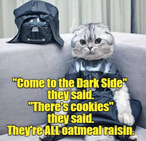 Your lack of choices disturbs me. - Lolcats - lol | cat memes | funny ...