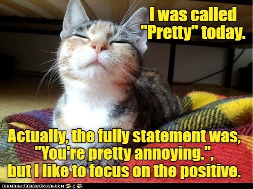 The power of positive thinking - Lolcats - lol | cat memes | funny cats ...