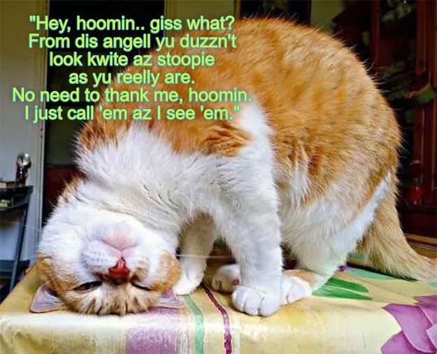 Sarah pays her human a strong compliment, which certainly must please